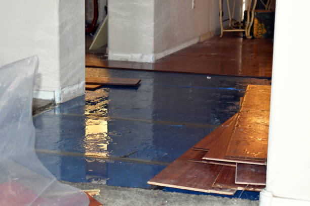 Professional Flood Damage Restoration technician working in Tilton, IL
